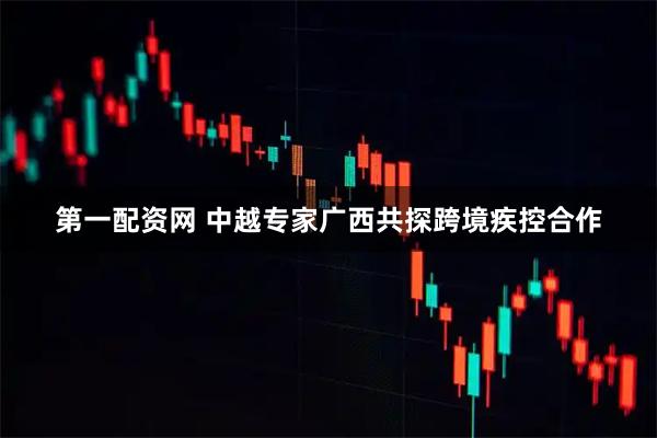 第一配资网 中越专家广西共探跨境疾控合作