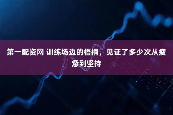 第一配资网 训练场边的梧桐,见证了多少次从疲惫到坚持