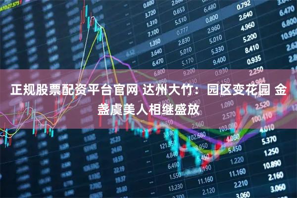 正规股票配资平台官网 达州大竹：园区变花园 金盏虞美人相继盛放